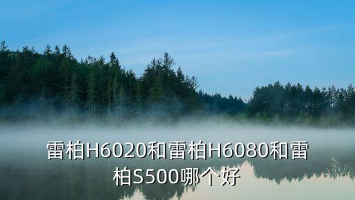 雷柏H6020和雷柏H6080和雷柏S500哪個好