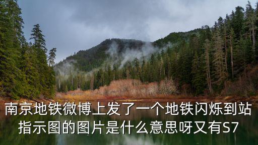 南京地鐵微博上發了一個地鐵閃爍到站指示圖的圖片是什么意思呀又有S7