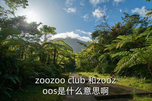 zoolung，zoozoo club 和zoozoos是什么意思啊