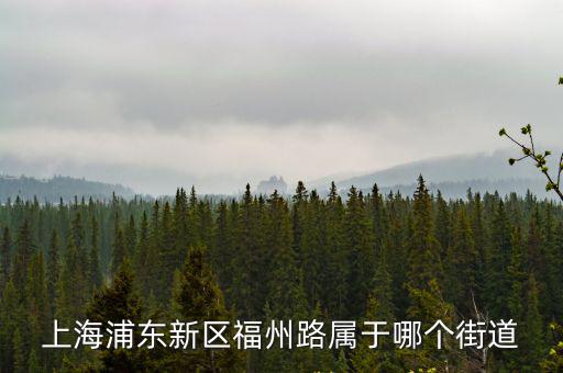 上海浦東新區福州路屬于哪個街道