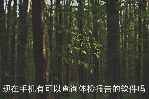 現(xiàn)在手機(jī)有可以查詢體檢報告的軟件嗎