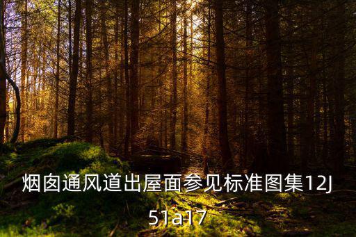 煙囪通風道出屋面參見標準圖集12J51a17