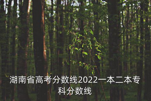 湖南省高考分數線2022一本二本專科分數線