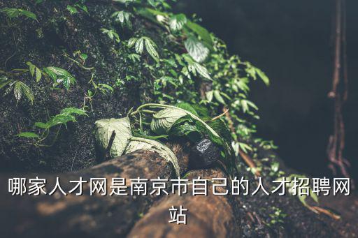 哪家人才網是南京市自己的人才招聘網站