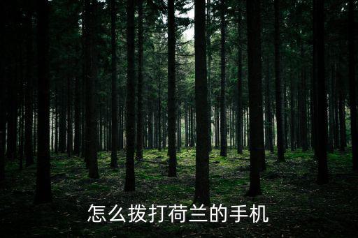 怎么撥打荷蘭的手機