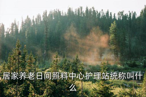 居家養老日間照料中心護理站統稱叫什么