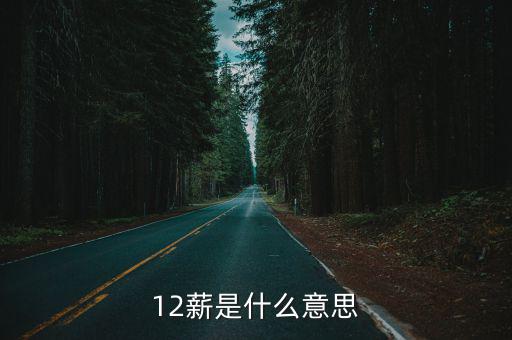 12薪，月薪12000有稅12薪和月薪9000無稅13薪請問我該選擇哪個問