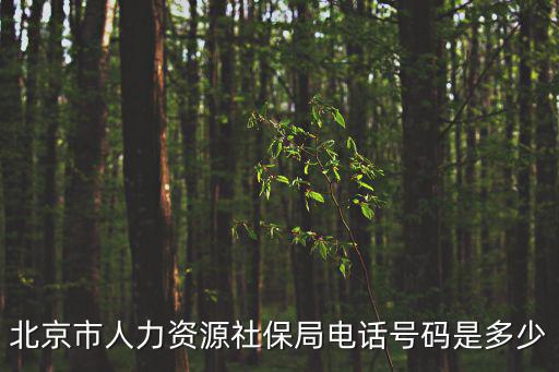 北京市人力資源社保局電話號碼是多少