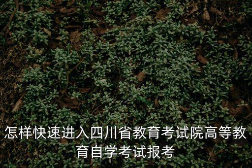 怎樣快速進入四川省教育考試院高等教育自學考試報考