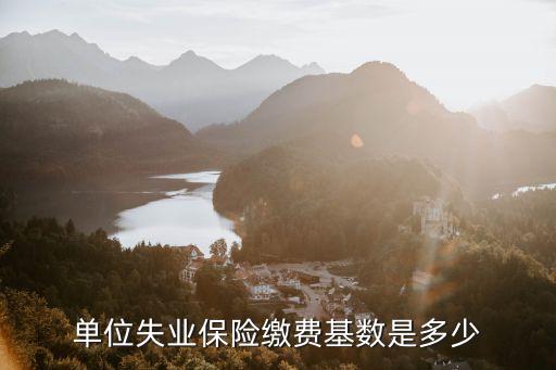 單位失業保險繳費基數是多少