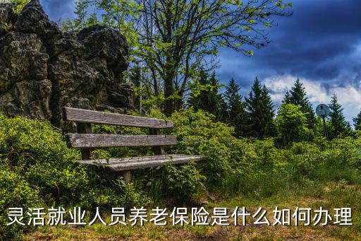 靈活就業(yè)養(yǎng)老保險(xiǎn)，個(gè)體工商戶養(yǎng)老保險(xiǎn)與靈活就業(yè)人員養(yǎng)老保險(xiǎn)有何不同之處以后