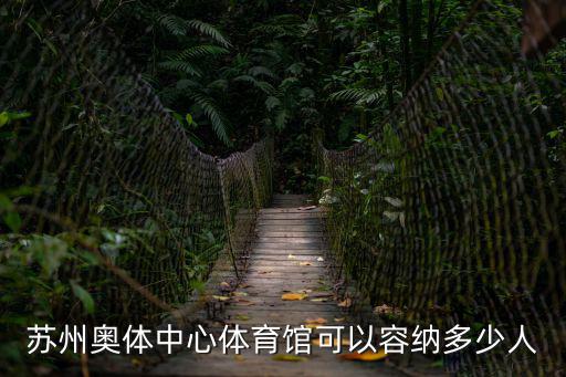 蘇州奧體中心，蘇州奧體中心體育場容納多少人