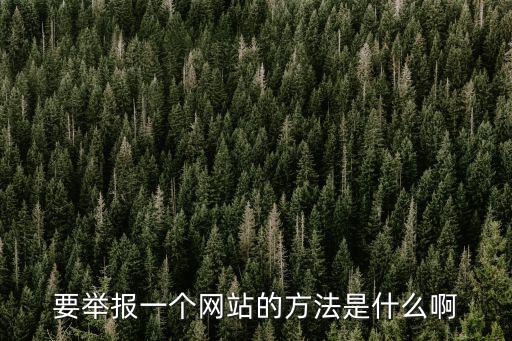 要舉報(bào)一個(gè)網(wǎng)站的方法是什么啊