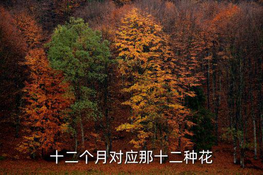 花歷，日語里的花歷是什么意思