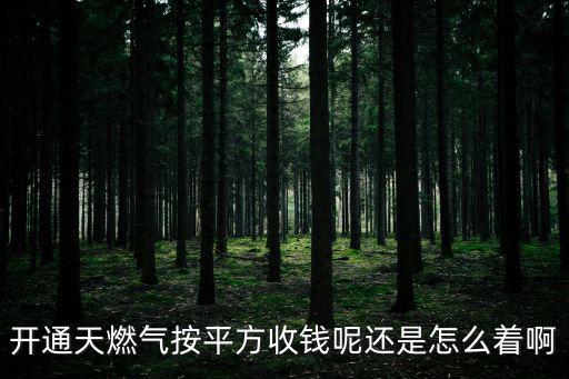 開通天燃?xì)獍雌椒绞斟X呢還是怎么著啊