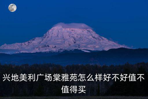 興地美利廣場棠雅苑怎么樣好不好值不值得買