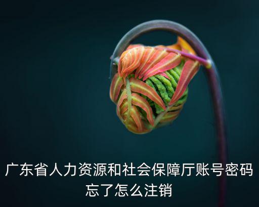 廣東省人力資源和社會保障廳賬號密碼忘了怎么注銷