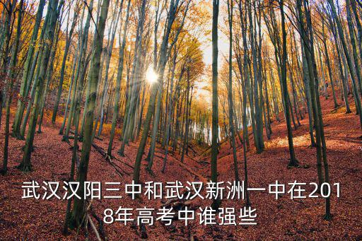 武漢漢陽三中和武漢新洲一中在2018年高考中誰強些