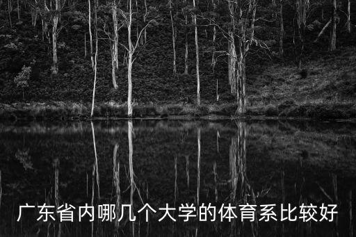 廣東省內哪幾個大學的體育系比較好