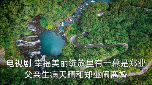 電視劇 幸福美麗綻放里有一幕是鄭業父親生病天晴和鄭業鬧離婚