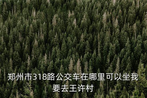 鄭州市318路公交車在哪里可以坐我要去王許村