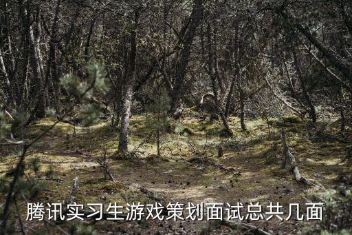 騰訊實習生游戲策劃面試總共幾面