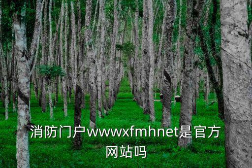 消防門戶wwwxfmhnet是官方網站嗎