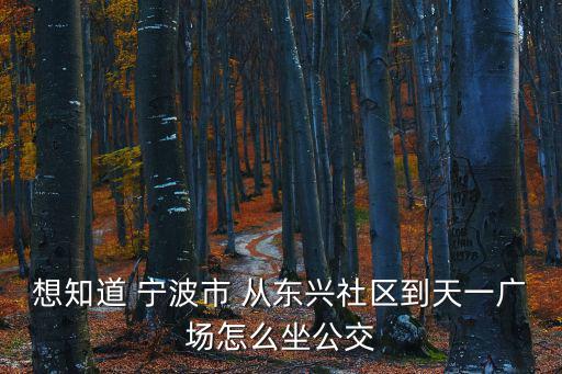 想知道 寧波市 從東興社區(qū)到天一廣場(chǎng)怎么坐公交