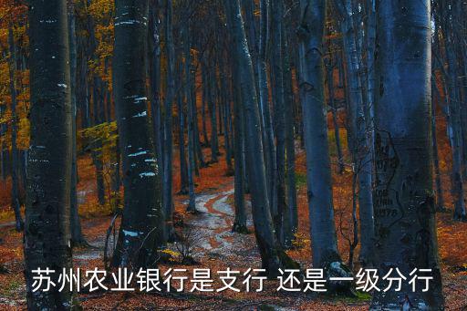 農行蘇州分行，我在蘇州市張家港市這里的農業銀行是什么分行