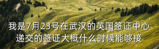我是7月23號在武漢的英國簽證中心遞交的簽證大概什么時候能夠接