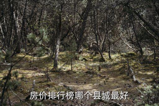 房價排行榜哪個縣城最好