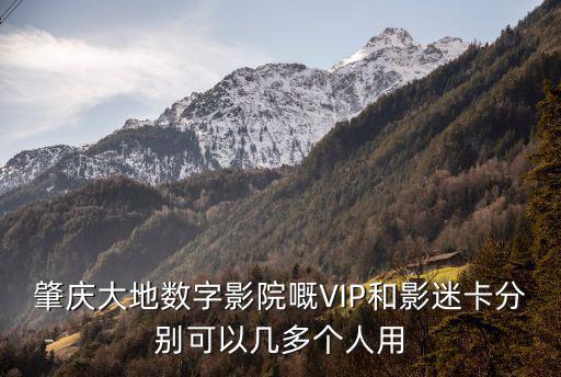 肇慶大地數字影院嘅VIP和影迷卡分別可以幾多個人用