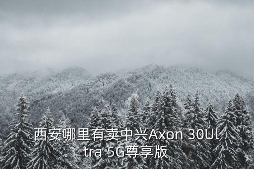 西安哪里有賣中興Axon 30Ultra 5G尊享版