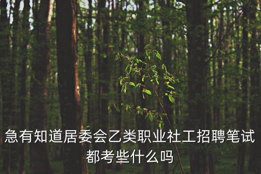 急有知道居委會乙類職業社工招聘筆試都考些什么嗎