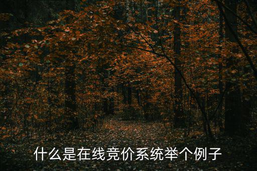競價系統，什么是在線競價系統舉個例子