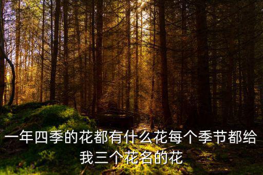 一年四季的花都有什么花每個季節都給我三個花名的花