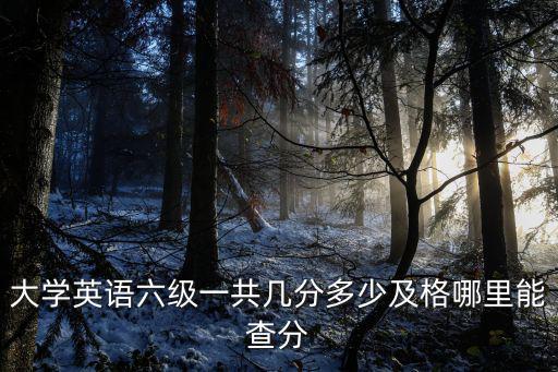六級成績查詢入口官網，大學英語六級一共幾分多少及格哪里能查分