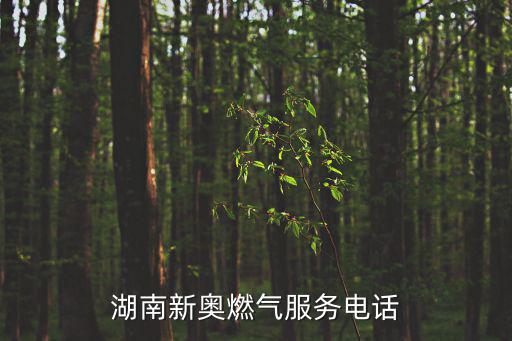 天然氣維修電話9559，95598是報(bào)修電話還是投訴電話
