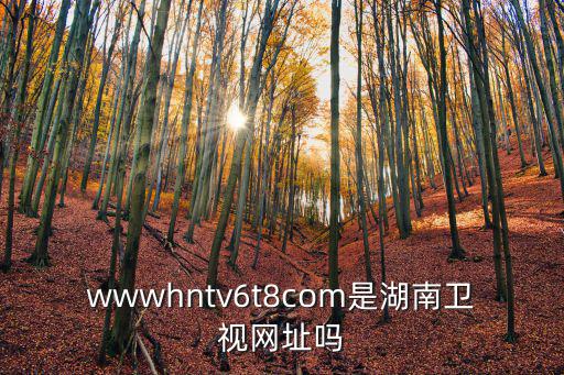 wwwhntv6t8com是湖南衛視網址嗎