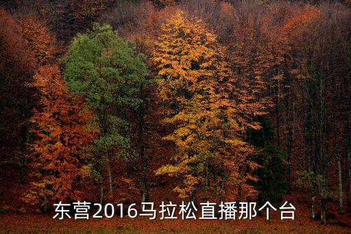 東營2016馬拉松直播那個臺
