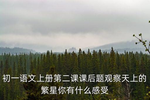 初一語文上冊第二課課后題觀察天上的繁星你有什么感受