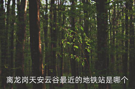離龍崗天安云谷最近的地鐵站是哪個