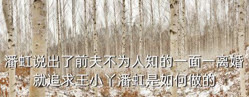 潘虹說出了前夫不為人知的一面一離婚就追求王小丫潘虹是如何做的