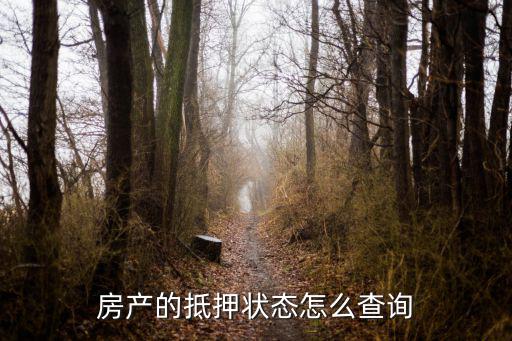 房屋抵押狀態網上查詢，房產的抵押狀態怎么查詢