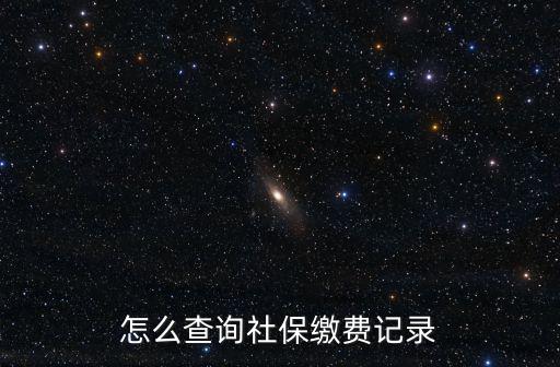 怎么查詢社保繳費記錄