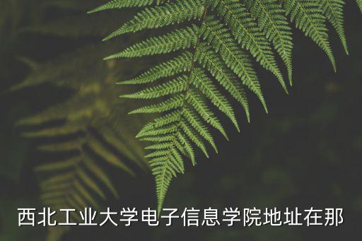 西北工業大學電子信息學院地址在那