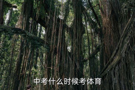 中考什么時候考體育