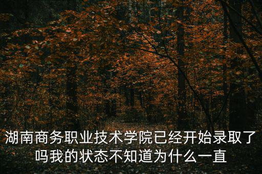 湖南商務(wù)職業(yè)技術(shù)學(xué)院已經(jīng)開始錄取了嗎我的狀態(tài)不知道為什么一直