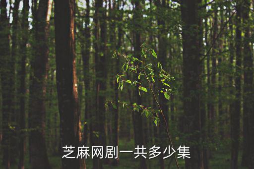 芝麻網(wǎng)劇一共多少集