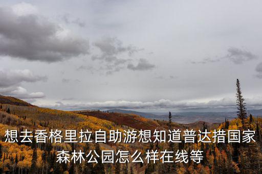 想去香格里拉自助游想知道普達(dá)措國家森林公園怎么樣在線等